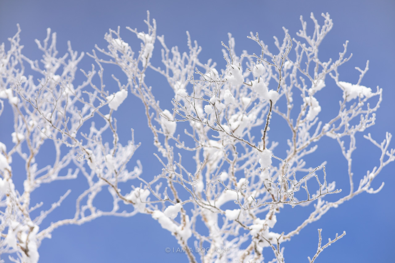 f:id:OKP:20220303233109j:plain