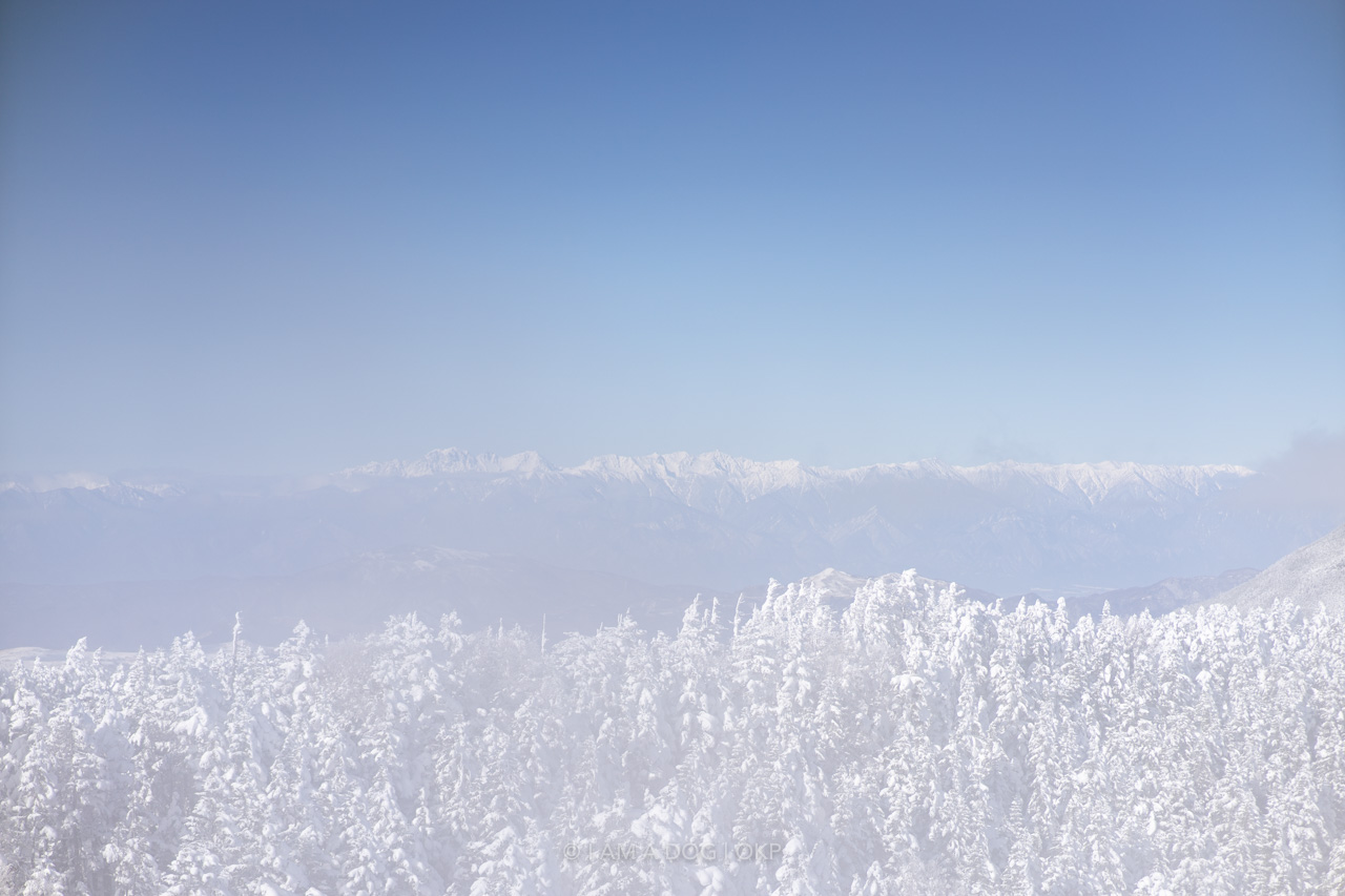 f:id:OKP:20220303233117j:plain