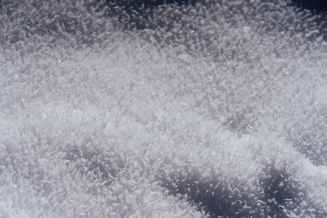 f:id:OKP:20220303233138j:plain