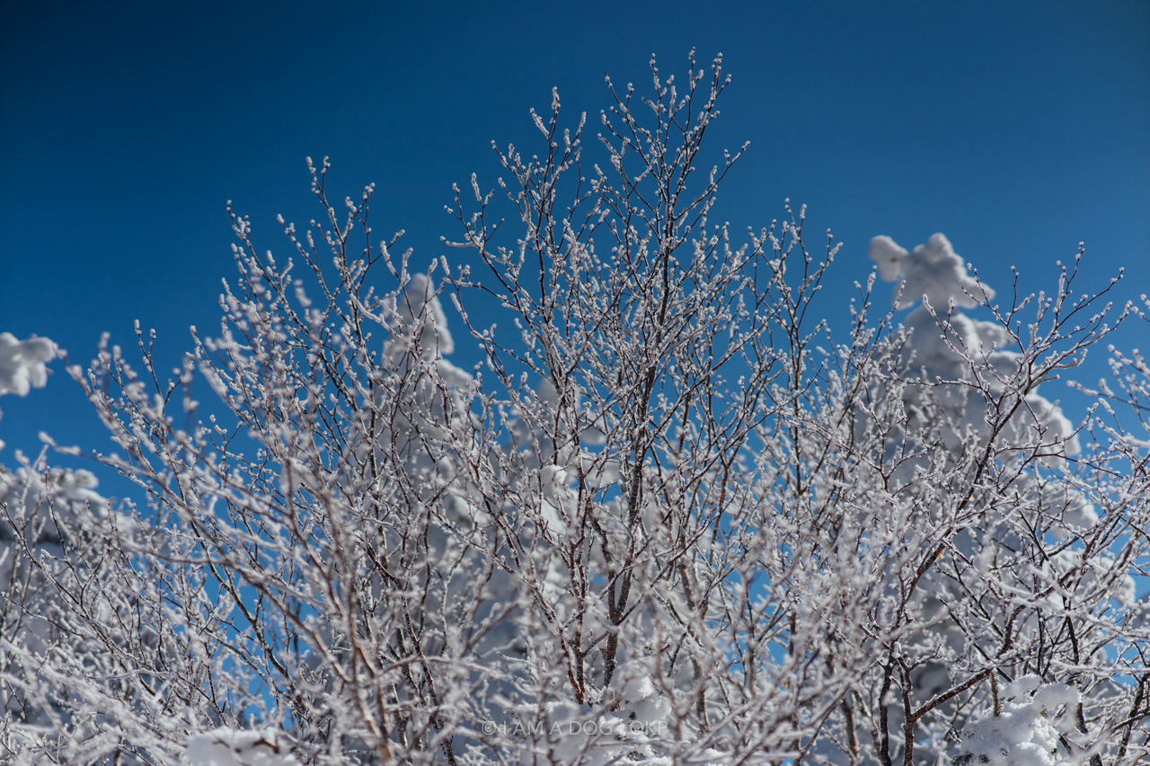 f:id:OKP:20220303233142j:plain