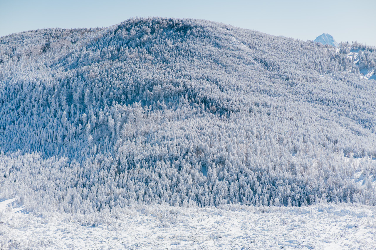 f:id:OKP:20220303233147j:plain