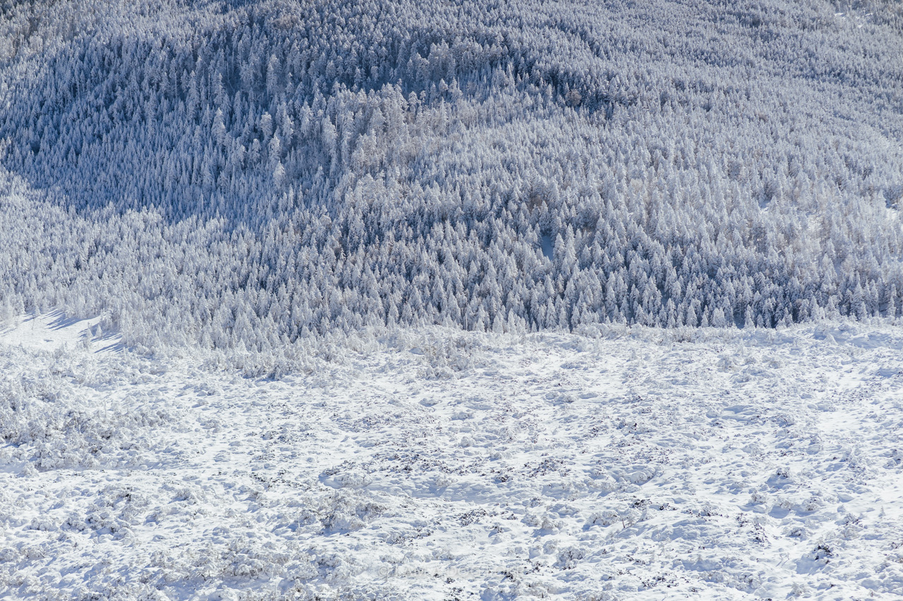 f:id:OKP:20220303233151j:plain