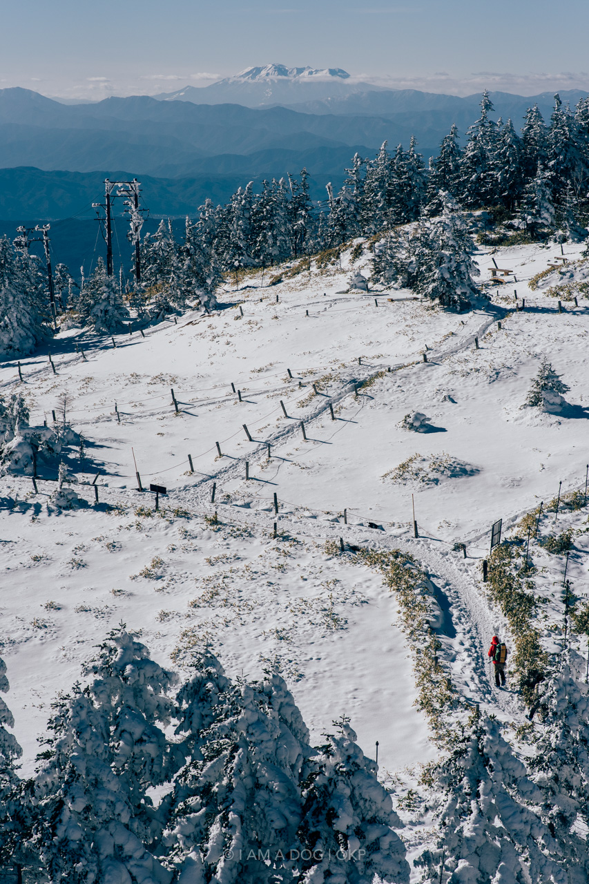 f:id:OKP:20220303233159j:plain