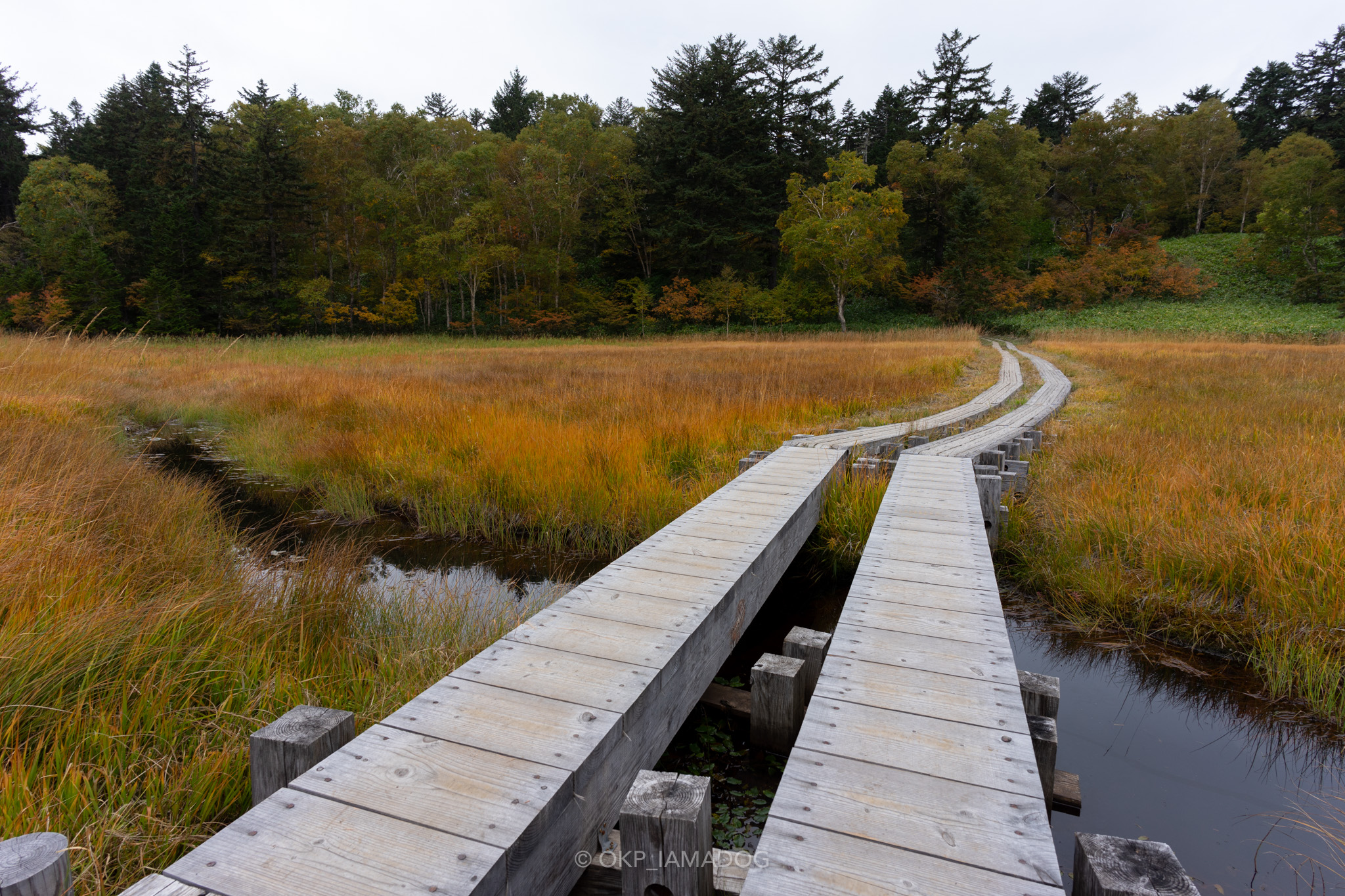 f:id:OKP:20220310154720j:plain