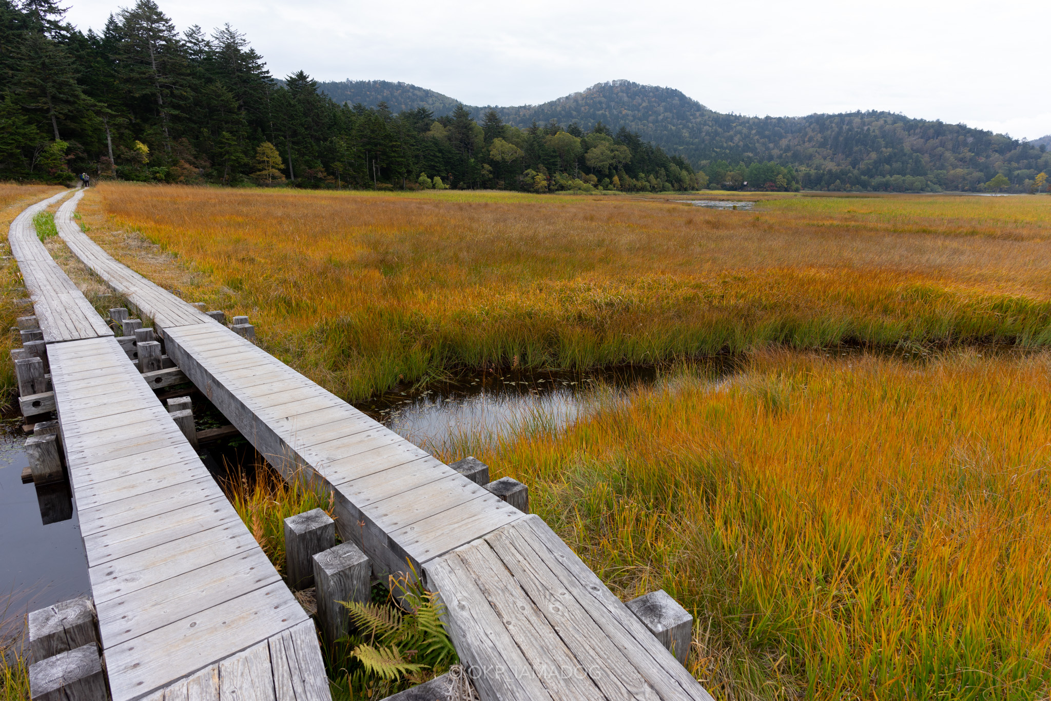 f:id:OKP:20220310154751j:plain