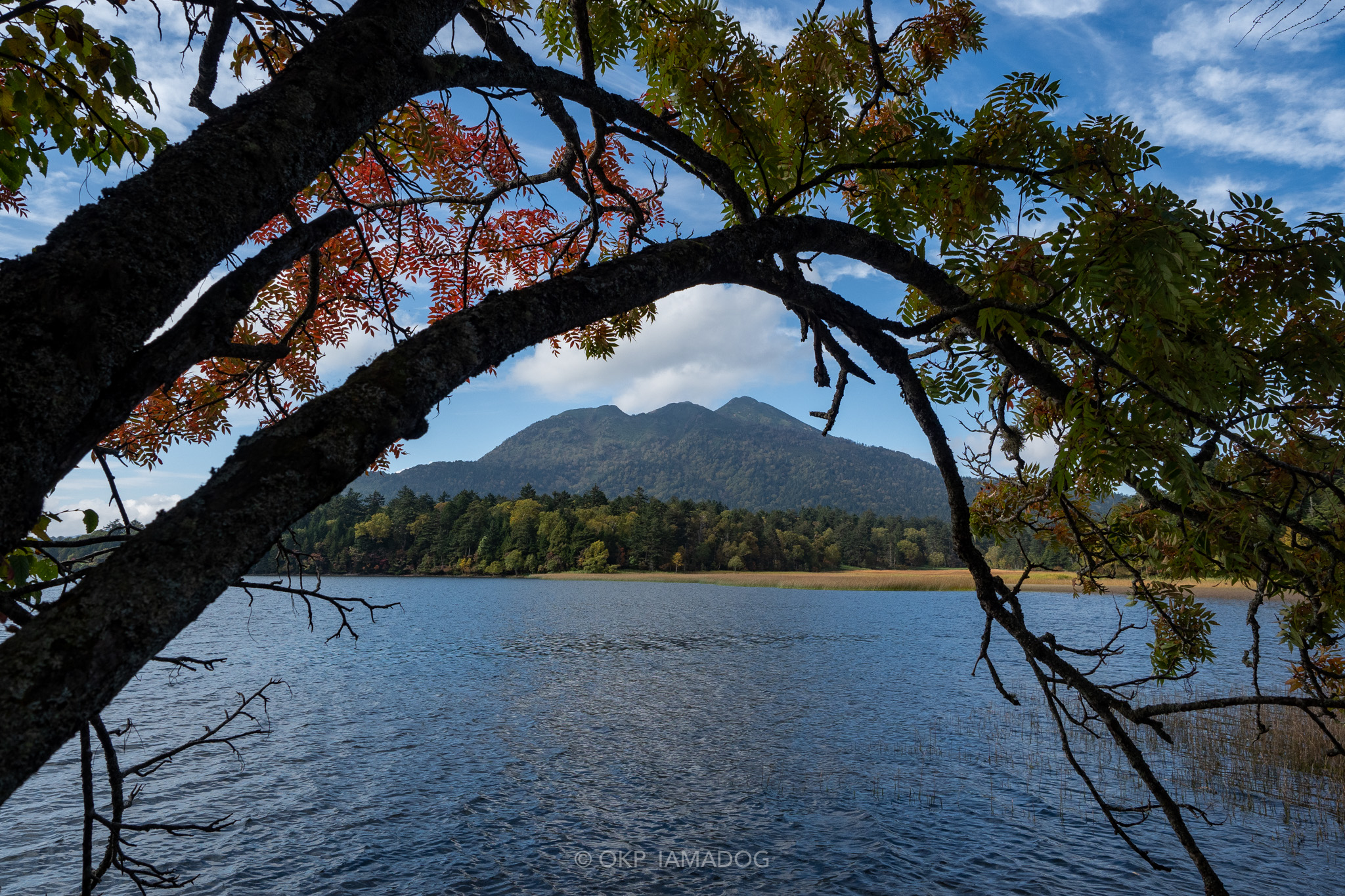 f:id:OKP:20220310155055j:plain