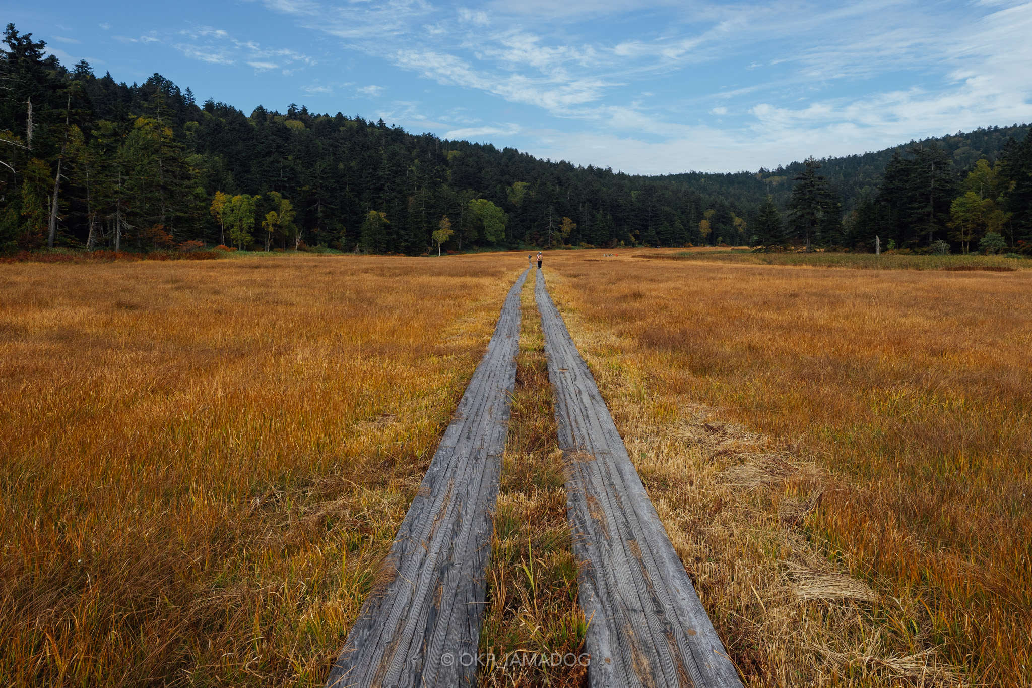 f:id:OKP:20220310155231j:plain