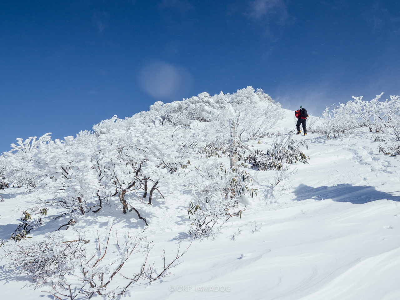 登山
