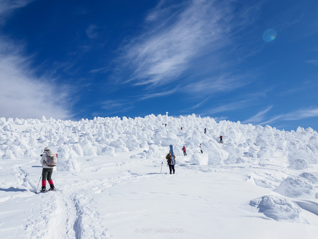 東北・西吾妻山と巨大樹氷群：魅惑的なスノーモンスターたちに出会った