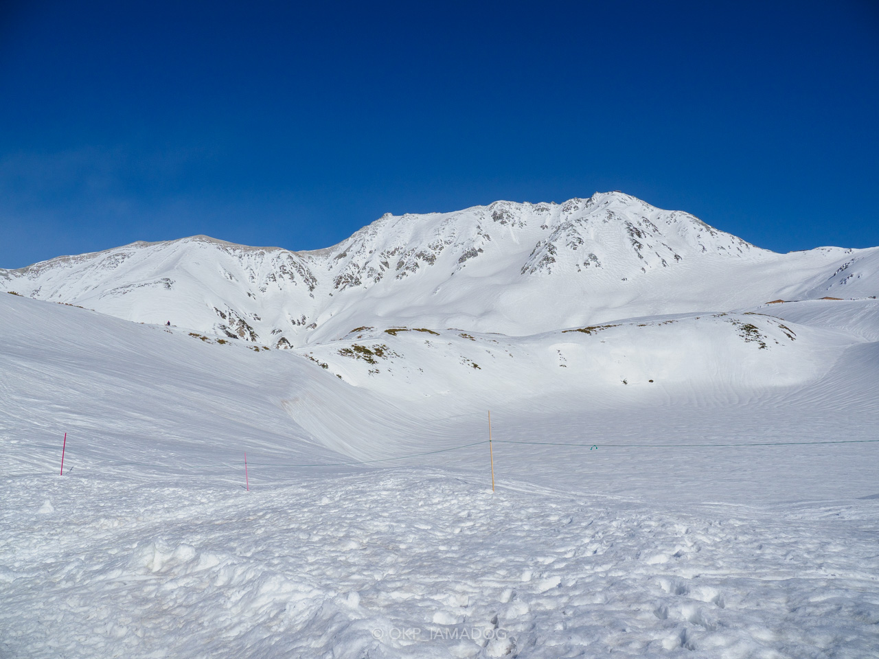 立山室堂 / 晴 | GREEN REPORT | Snownavi - スノーナビ