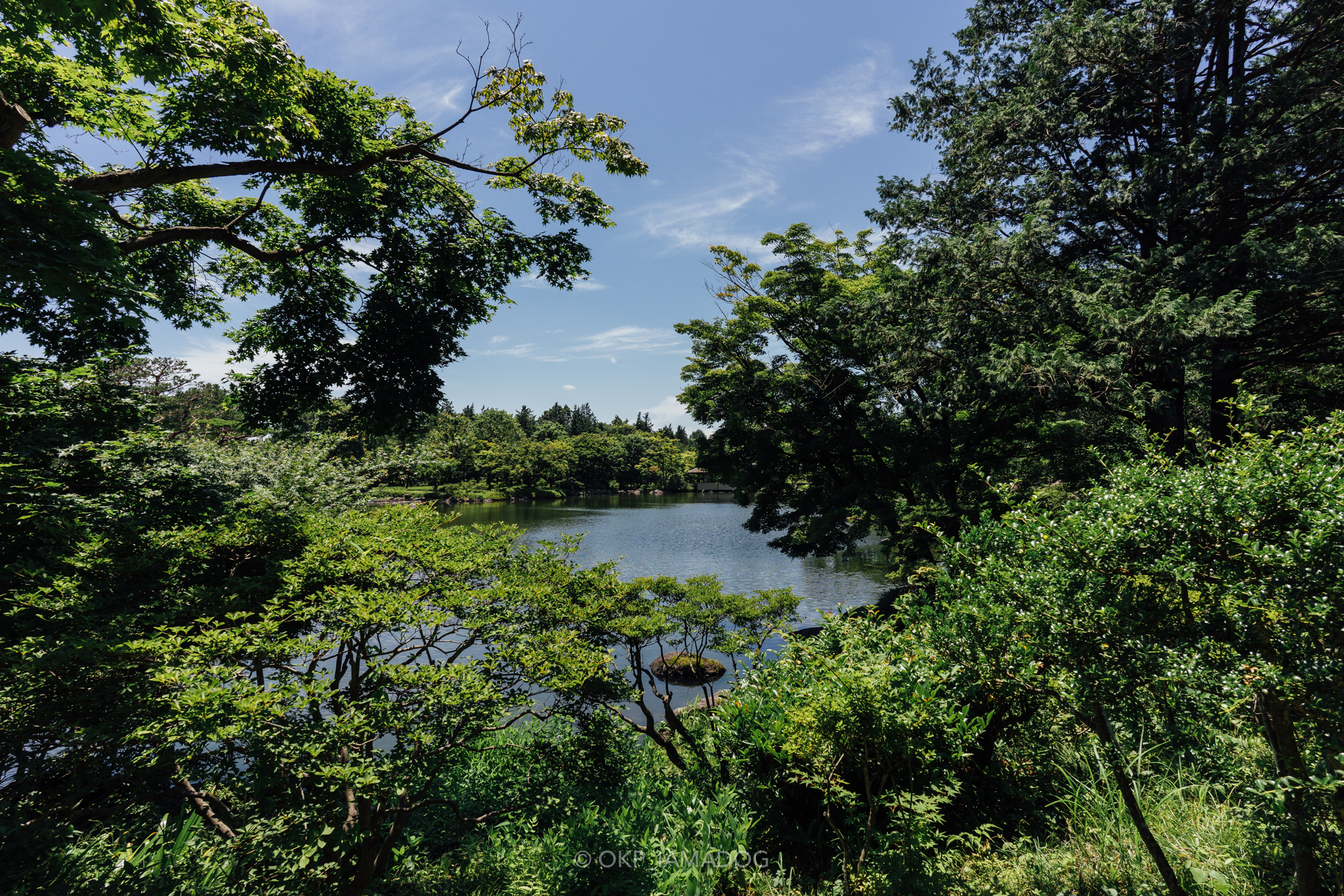 TAMRON 20mm F/2.8 Di III OSD M1:2 (Model F050) で超広角 TAMRON 20mm F/2.8 Di III OSD M1:2 (Model F050) で超広角