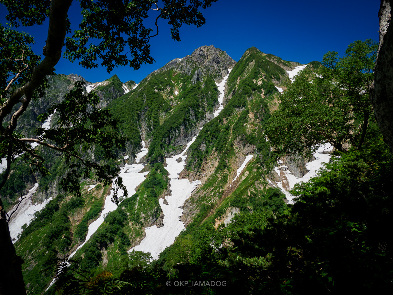 18年夏 北アルプス五竜岳 唐松岳縦走写真集 I Am A Dog