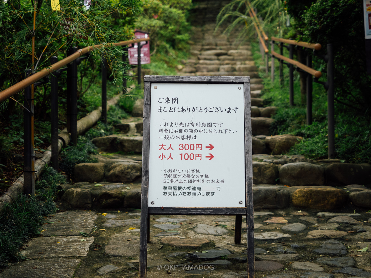 小雨の中を歩く、京王百草園のアジサイが思いの外良かった - I AM A DOG