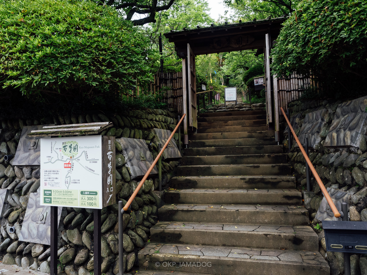 小雨の中を歩く、京王百草園のアジサイが思いの外良かった - I AM A DOG