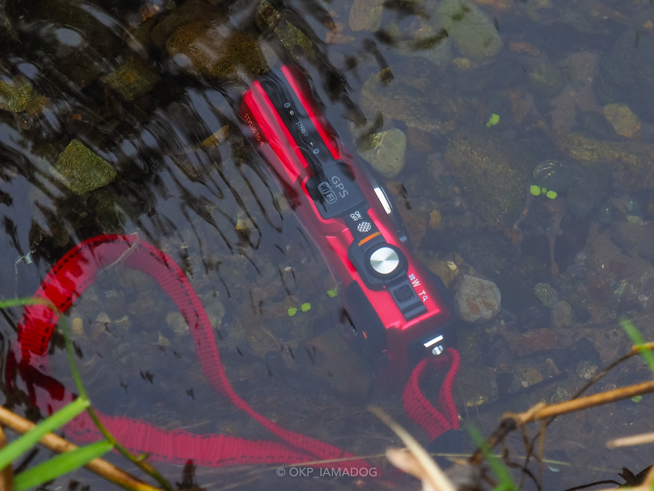 防水コンデジOLYMPUS STYLUS TG-4 Toughで多摩の谷戸を撮る - I AM A DOG