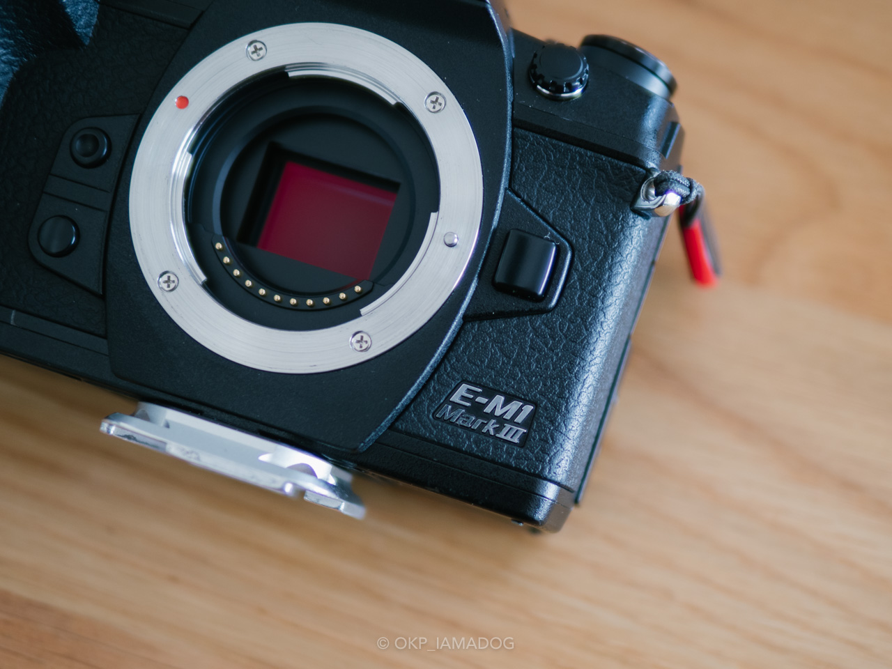オリンパス最後のフラッグシップ機の丁度良さ:OLYMPUS OM-D E オリンパス最後のフラッグシップ機の丁度良さ:OLYMPUS OM-D E