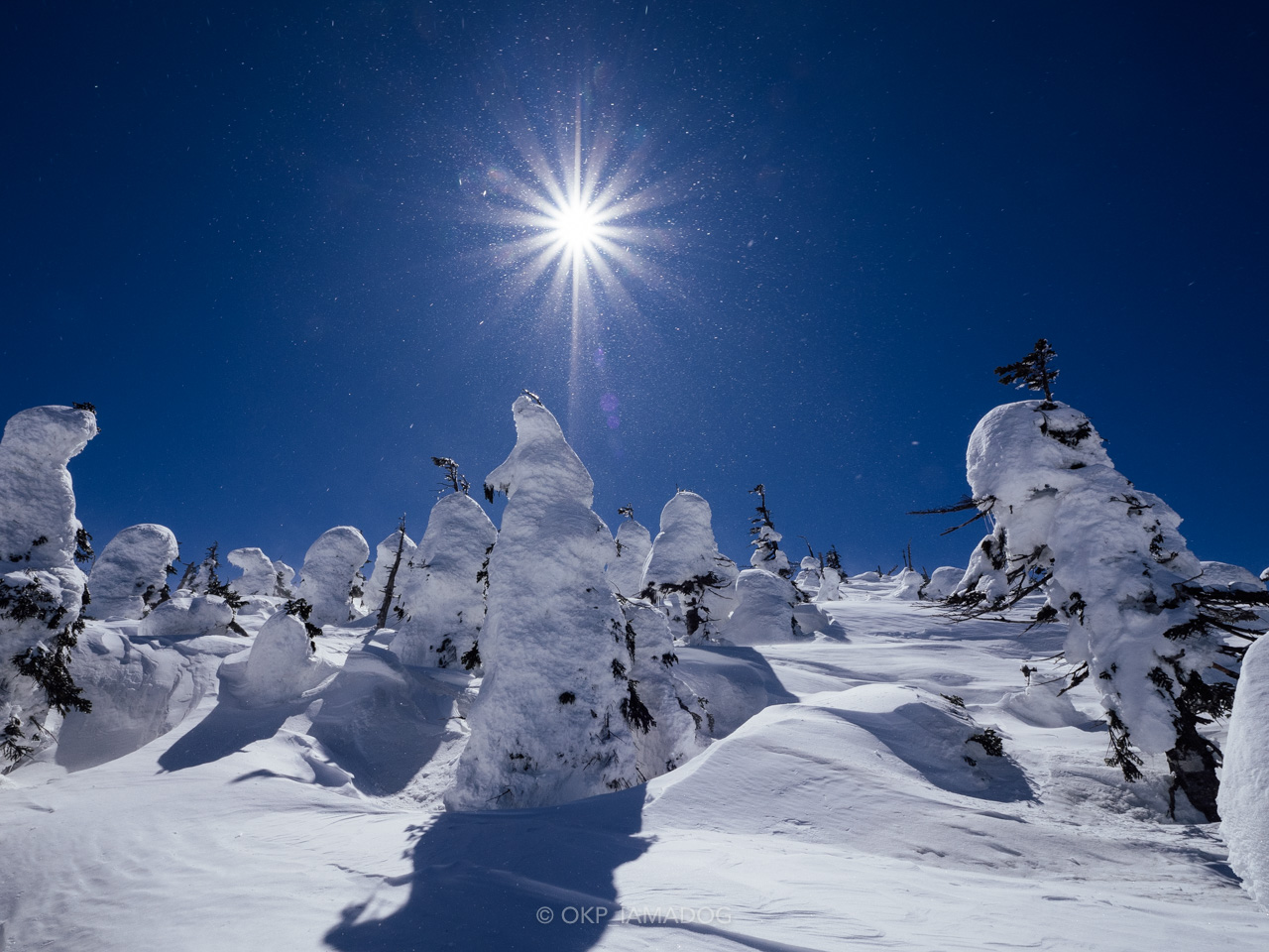 天元台から雪の西吾妻山へ、3月後半の降雪翌日に新雪ハイクを満喫 - I