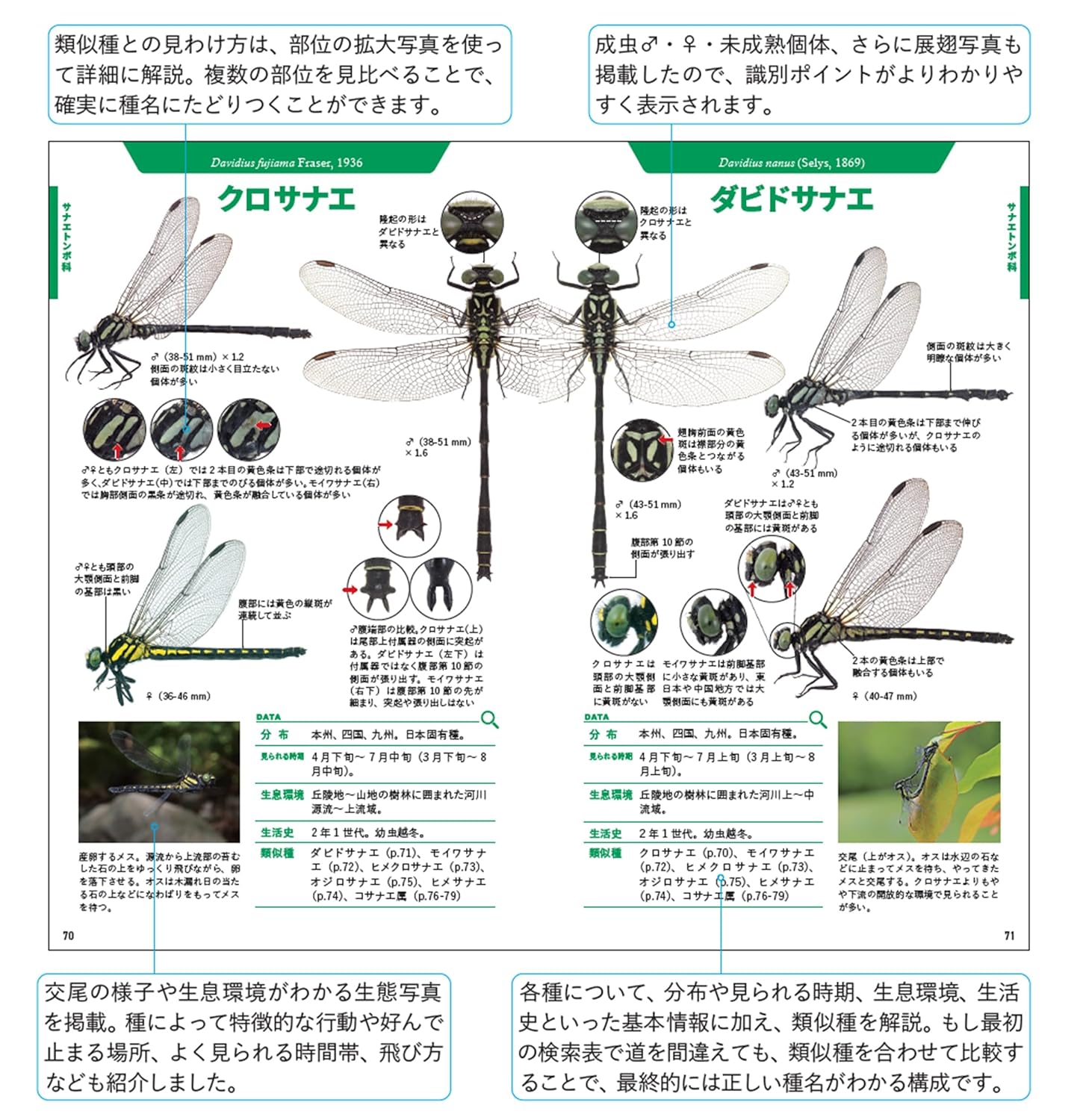 ハンディ図鑑『トンボハンドブック』で散歩中のトンボ観察がさらに
