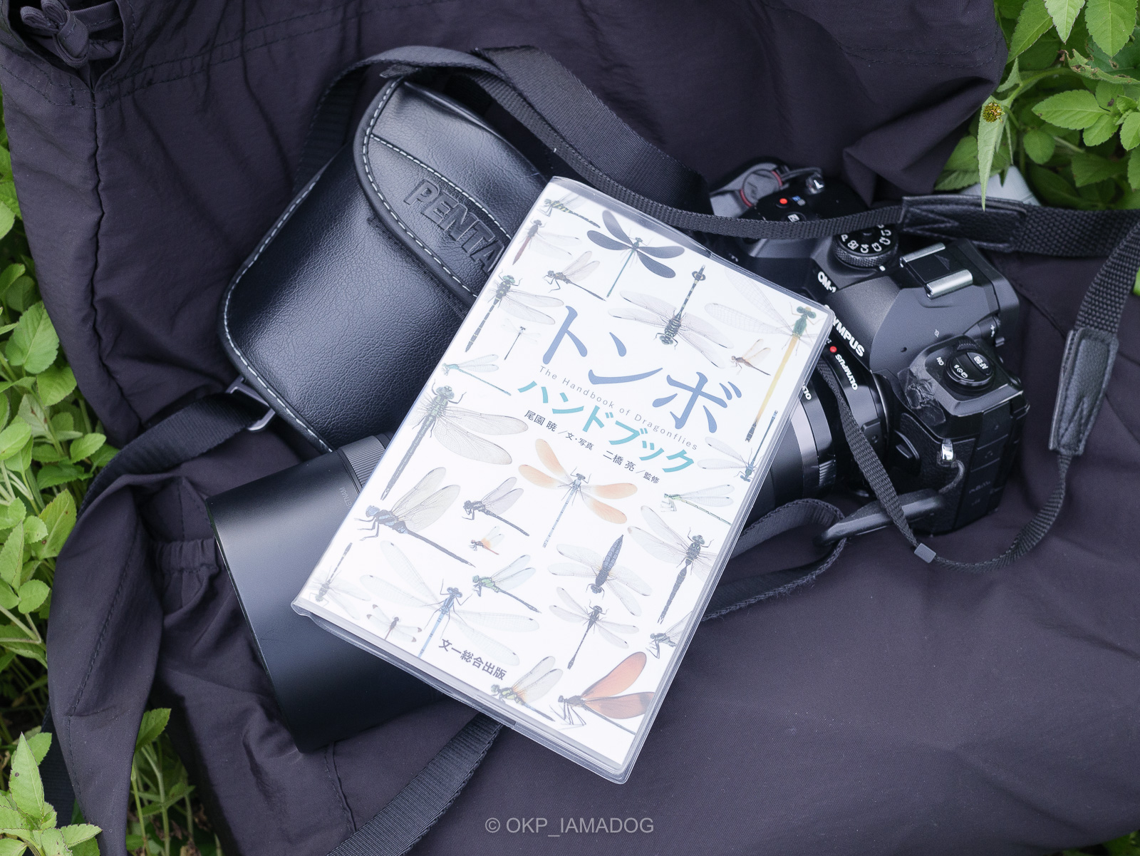 ハンディ図鑑『トンボハンドブック』で散歩中のトンボ観察がさらに
