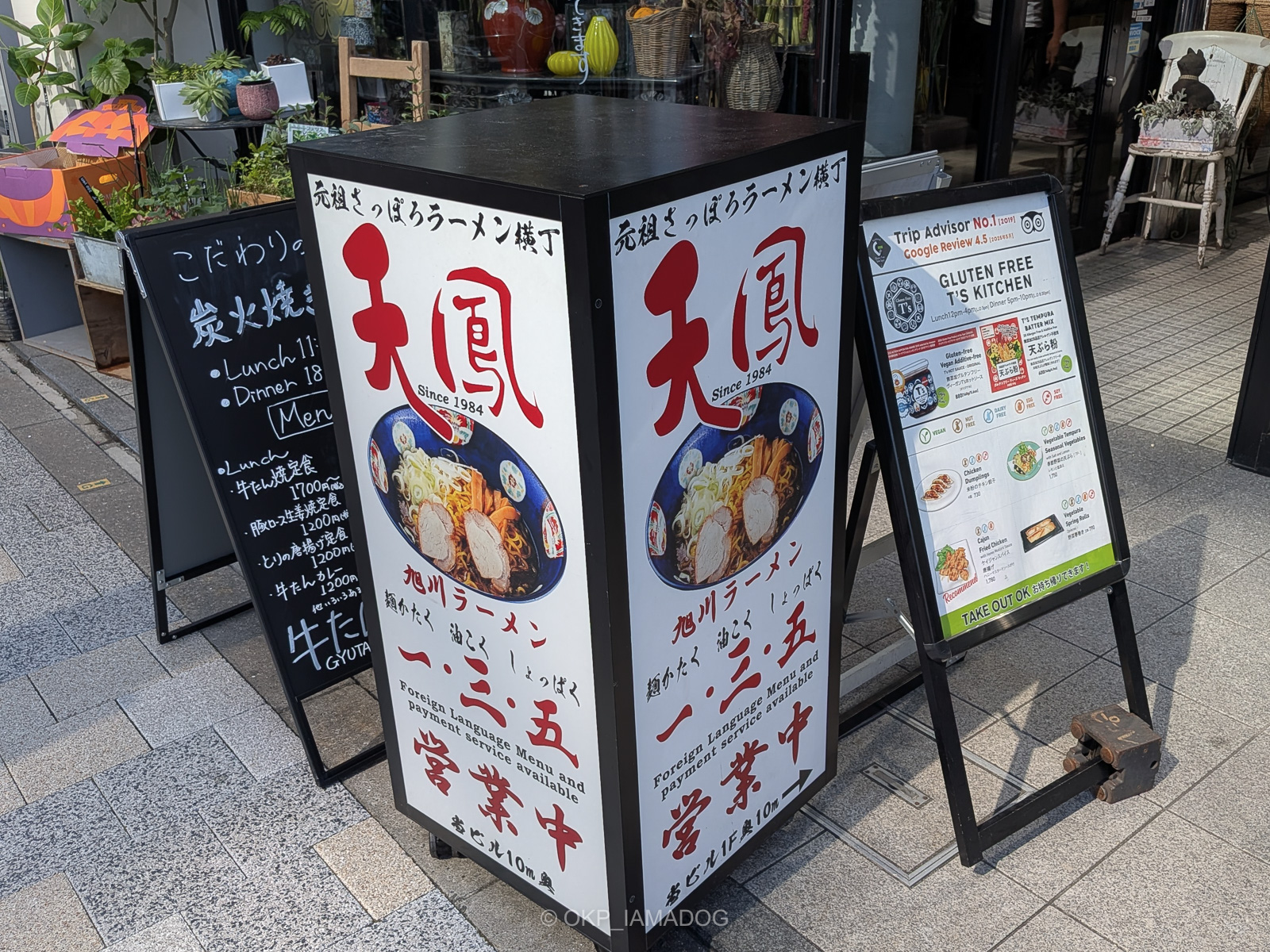 日記：六本木天鳳とフジフイルム スクエアで石川直樹写真展 - I AM A DOG