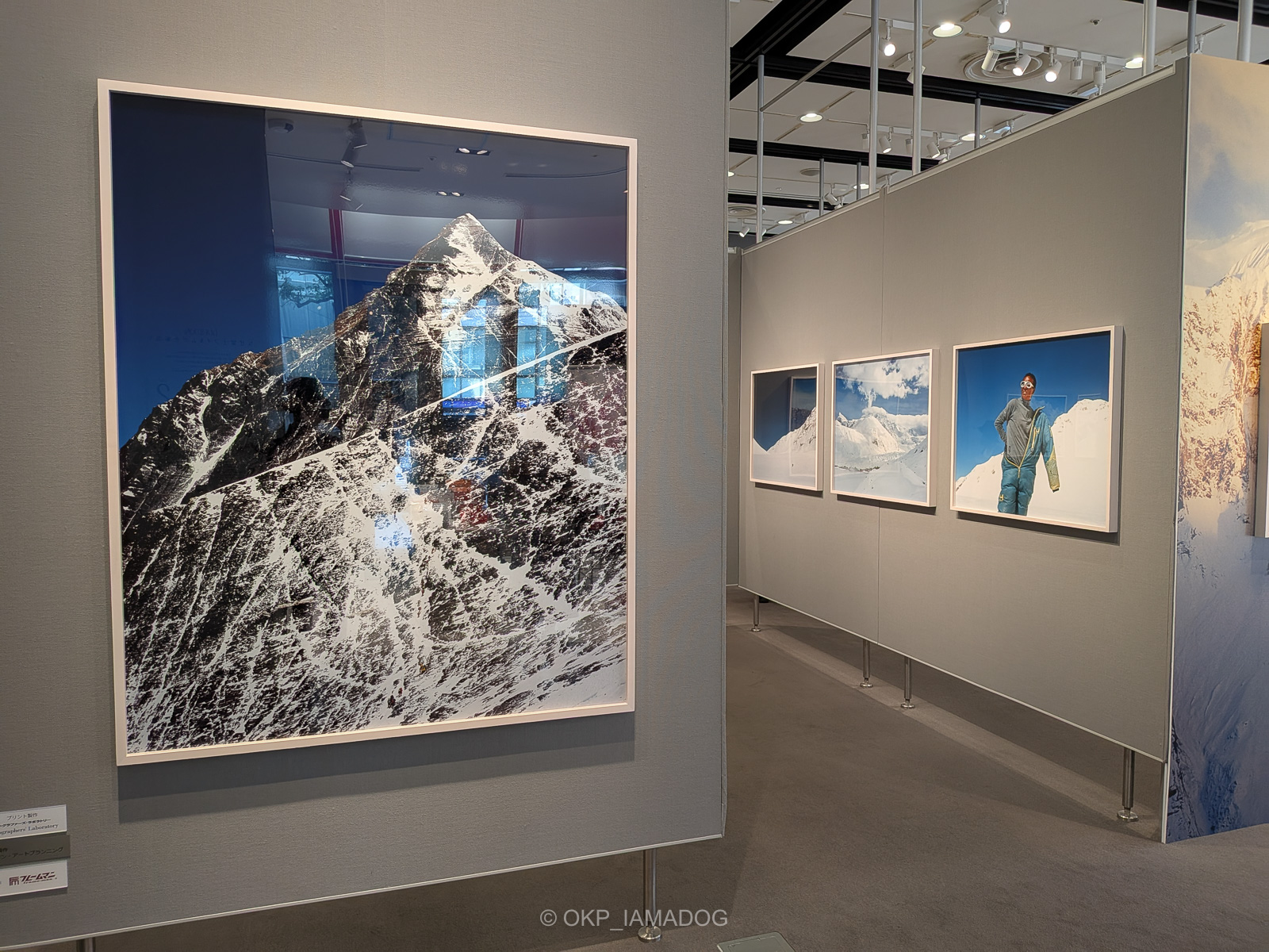 日記：六本木天鳳とフジフイルム スクエアで石川直樹写真展 - I AM A DOG