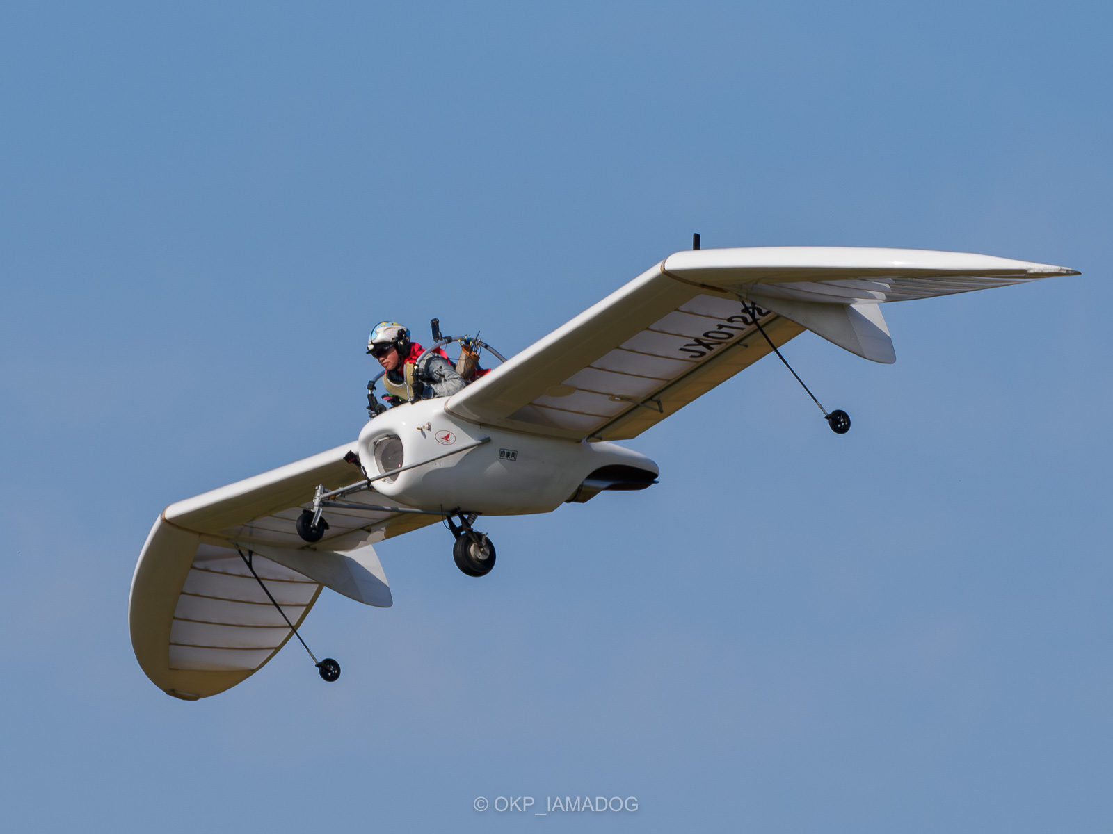 新品 おおでゆかこ 原画「飛行機」 新品 おおでゆかこ 原画「飛行機」 おおでゆかこ 原画「飛行機」