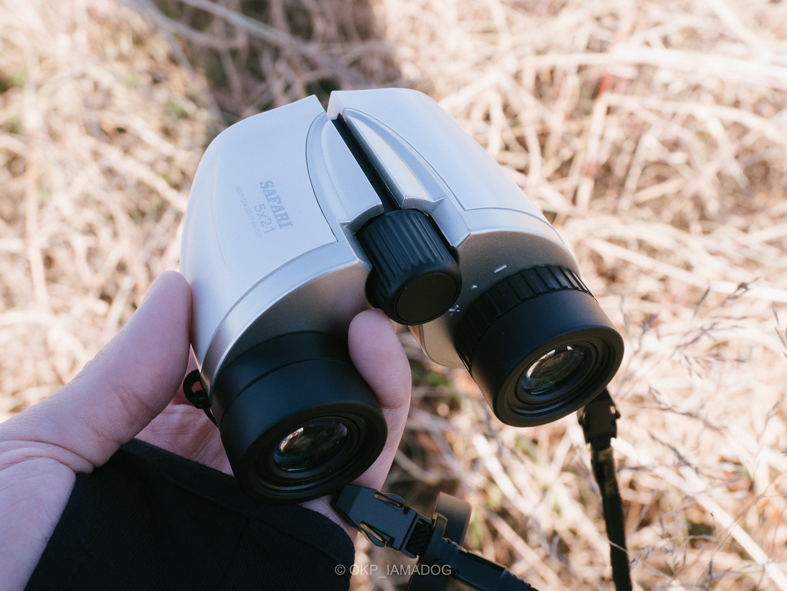 サイトロン SAFARI 5x21：タカ探しからコンサートまで活躍しそうな低