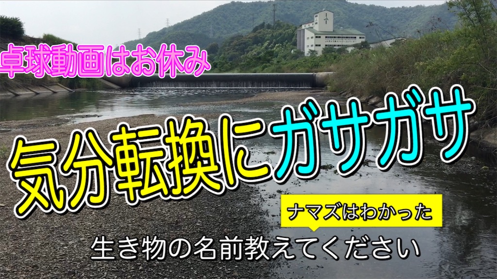 f:id:OKP224:20200610062737j:image