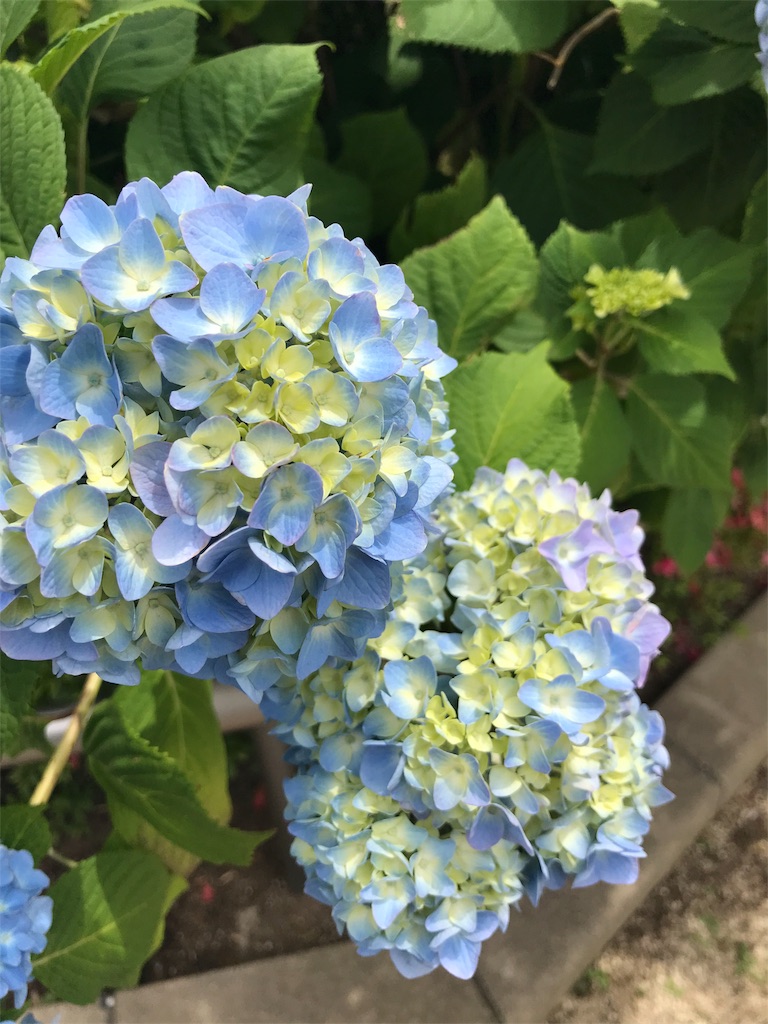 f:id:OND98883:20180607074842j:image