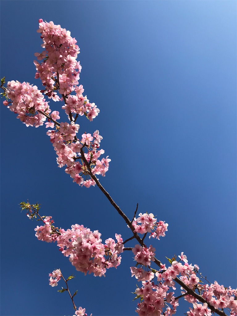 f:id:OND98883:20200224221729j:image f:id:OND98883:20200224221729j:image