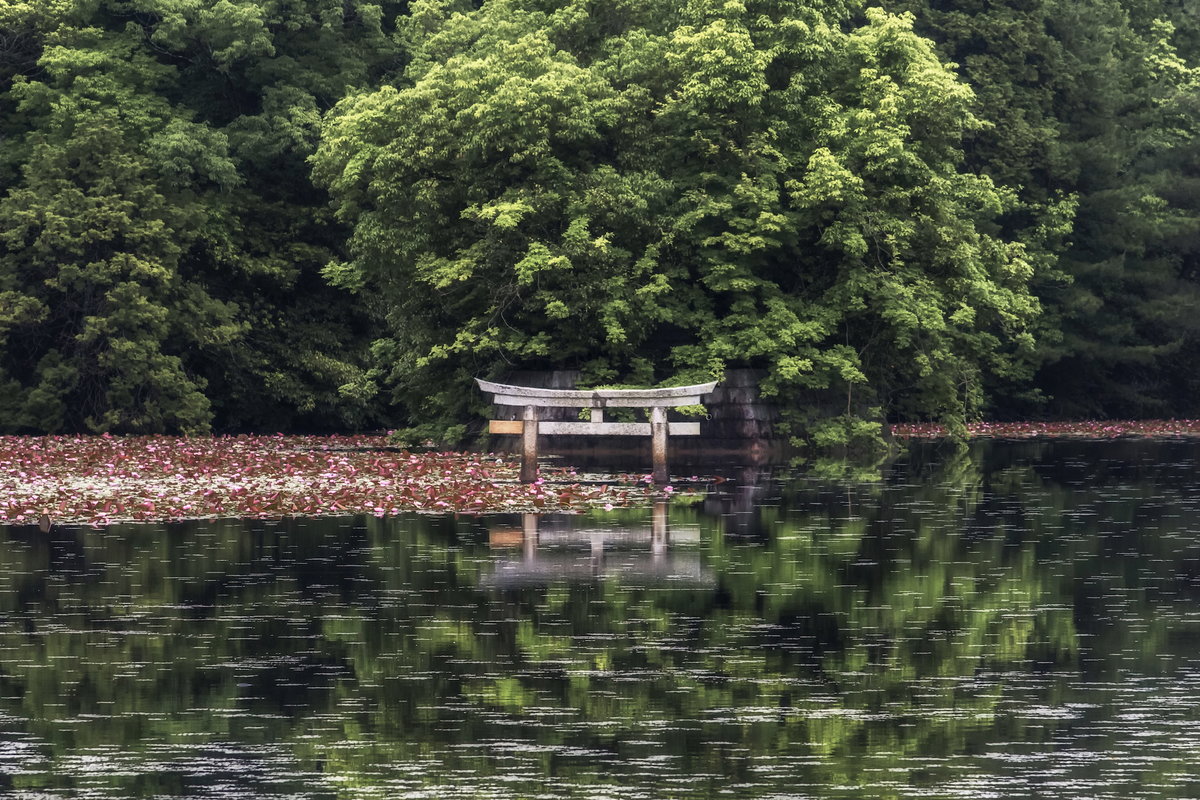 f:id:ONEPHOTO:20210528204425j:plain
