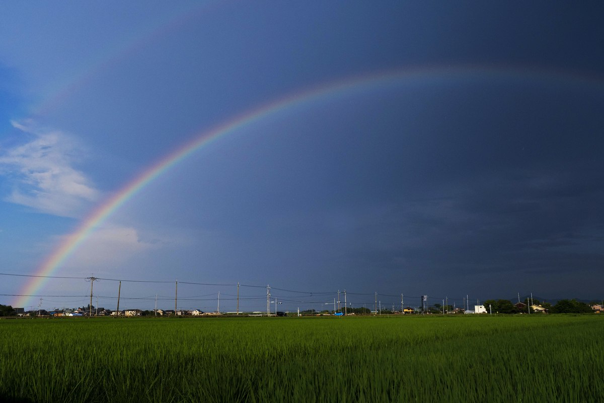 f:id:ONEPHOTO:20210711232603j:plain