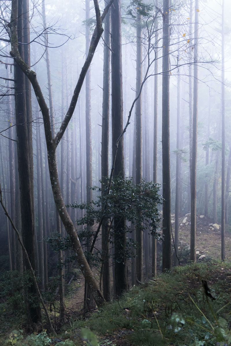 f:id:ONEPHOTO:20211202224359j:plain