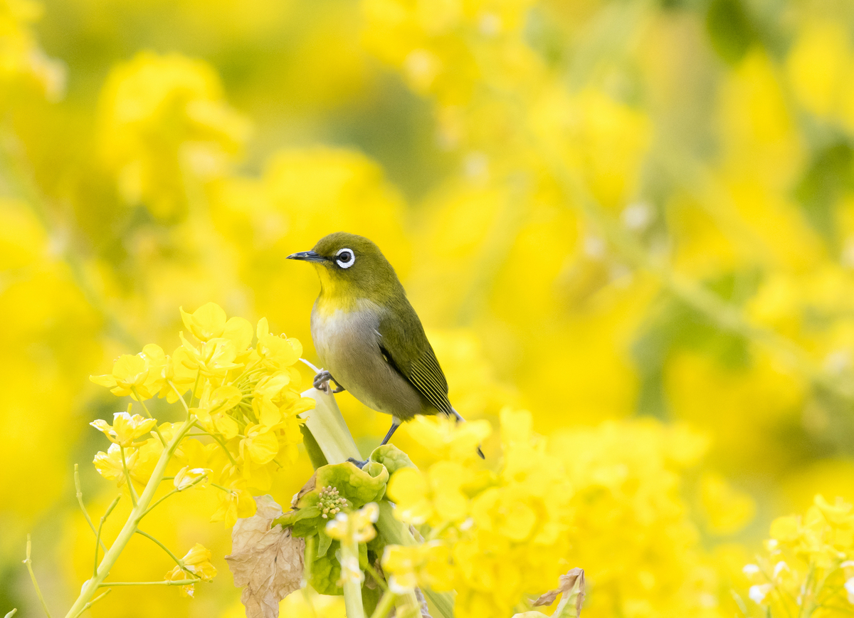 f:id:ONEPHOTO:20220127232941j:plain