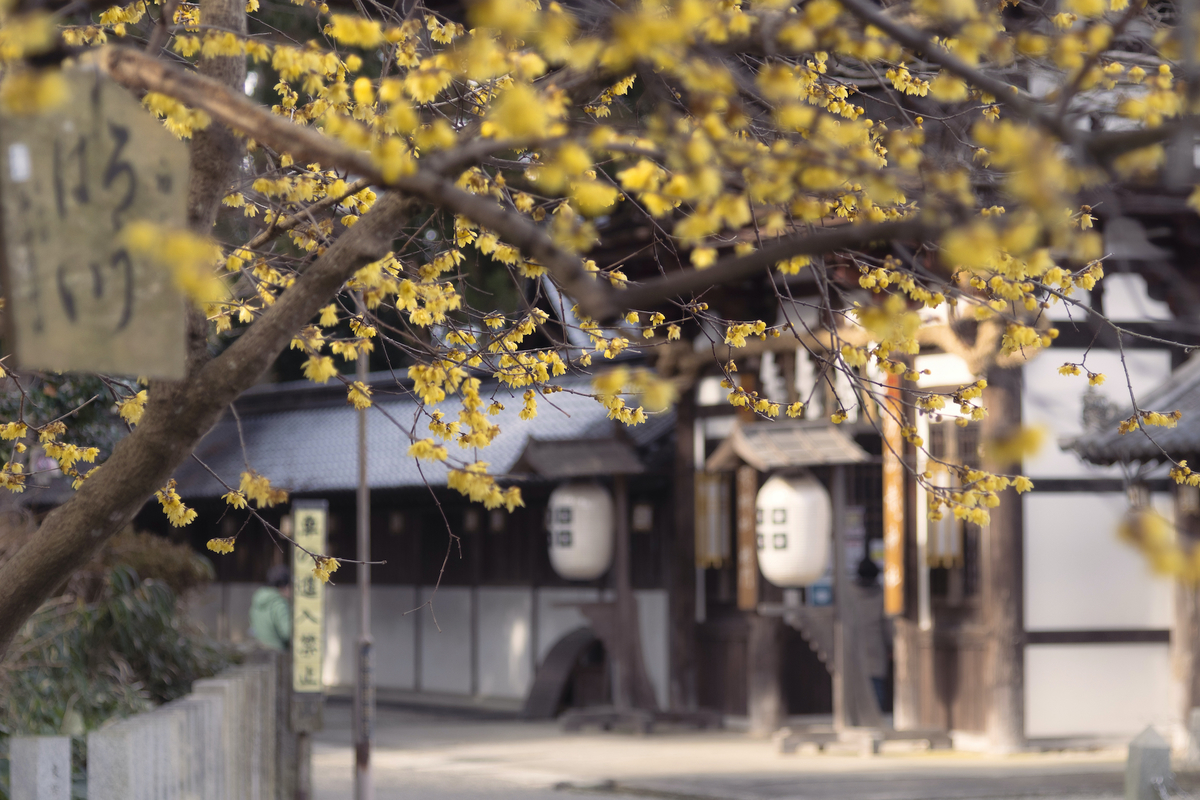 f:id:ONEPHOTO:20220130232925j:plain