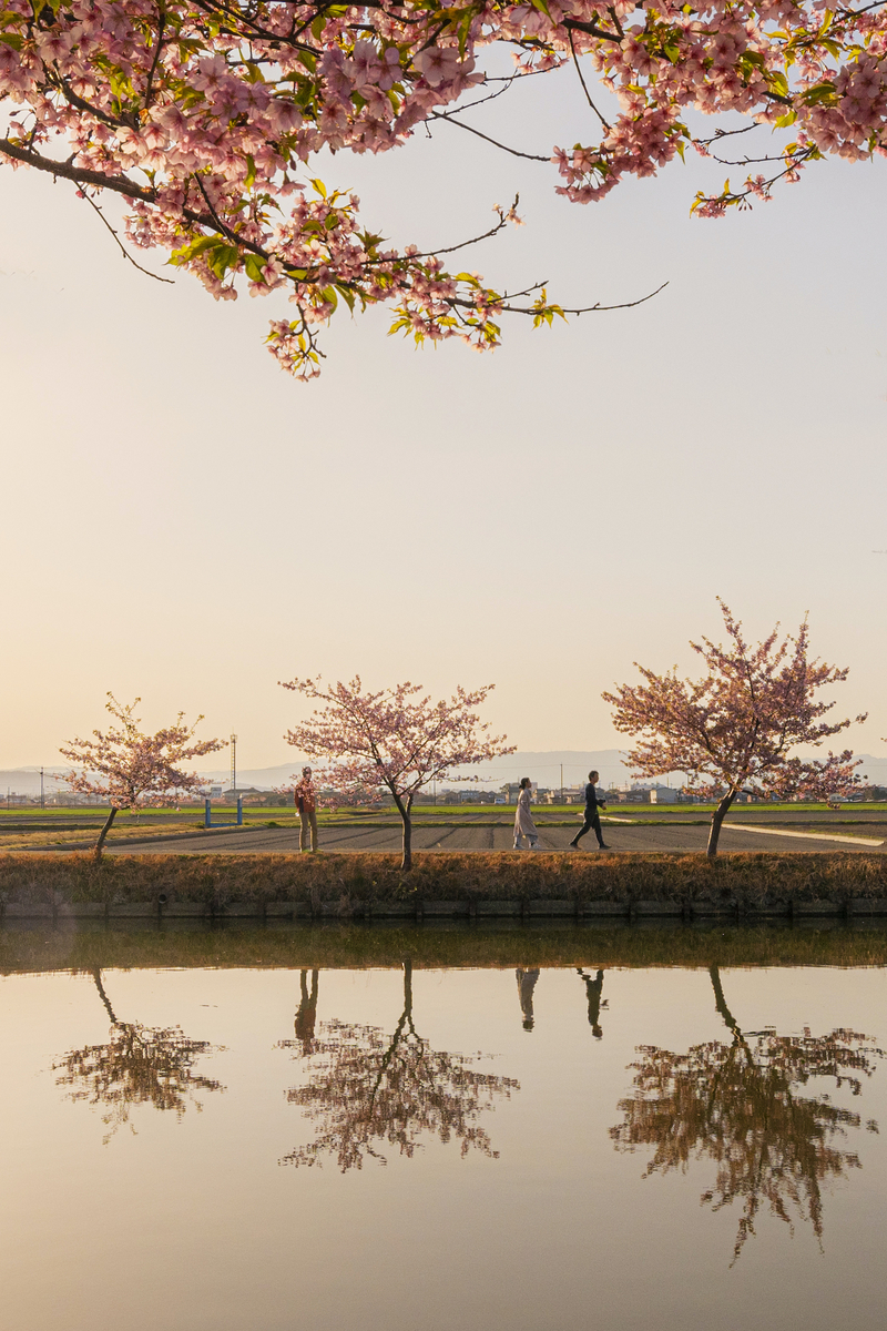 f:id:ONEPHOTO:20220317010845j:plain