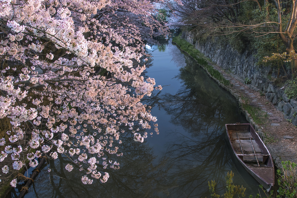 f:id:ONEPHOTO:20220323003322j:plain
