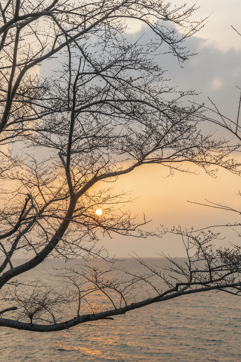 f:id:ONEPHOTO:20220324233615j:plain