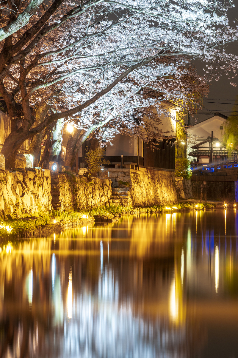 f:id:ONEPHOTO:20220402234128j:plain