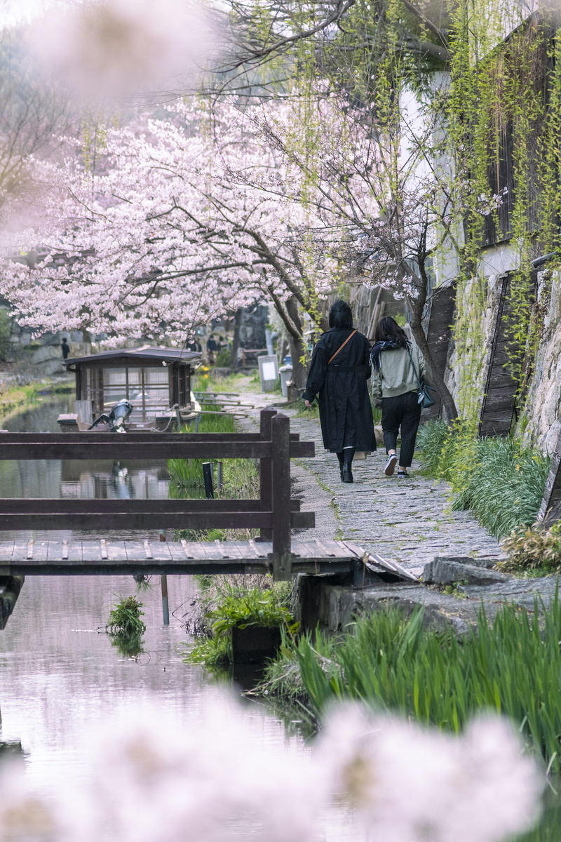f:id:ONEPHOTO:20220404235244j:plain