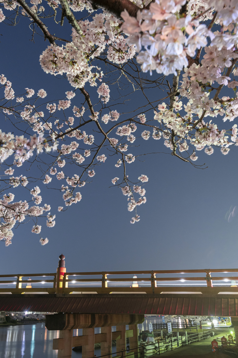 f:id:ONEPHOTO:20220410234249j:plain