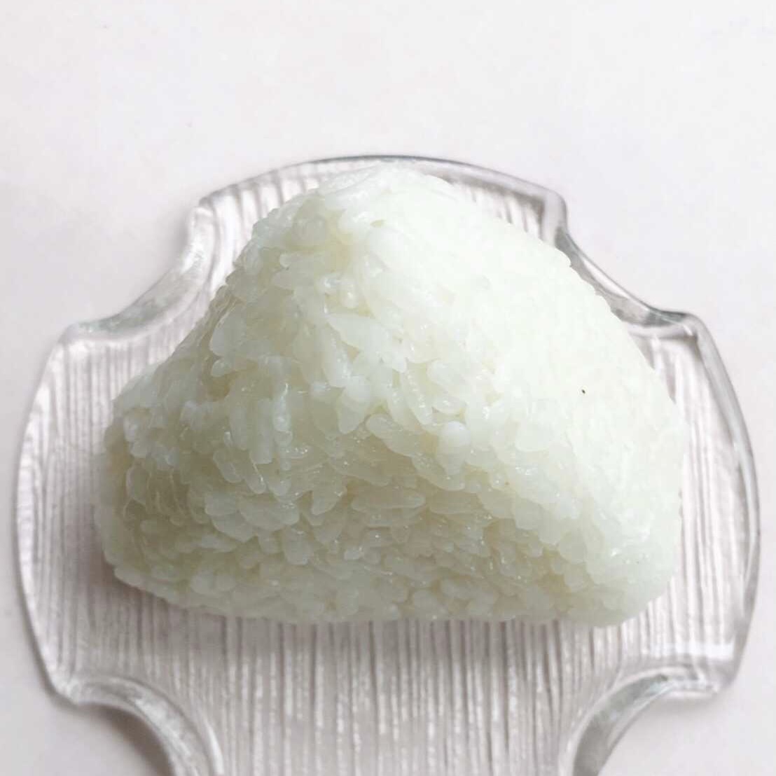 f:id:ONIGIRi:20211119211938j:plain