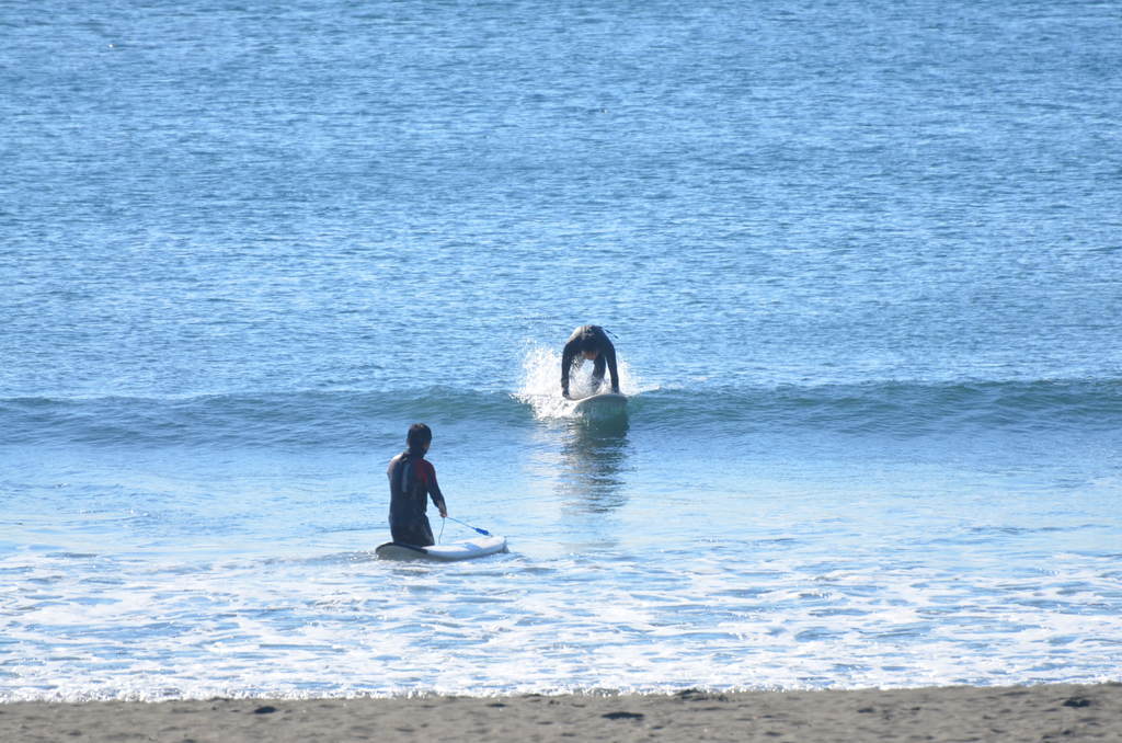 1月14日11:15頃の鵠沼