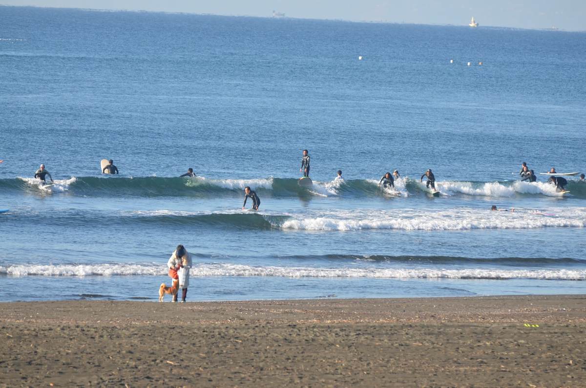 12月8日朝9:20頃の鵠沼