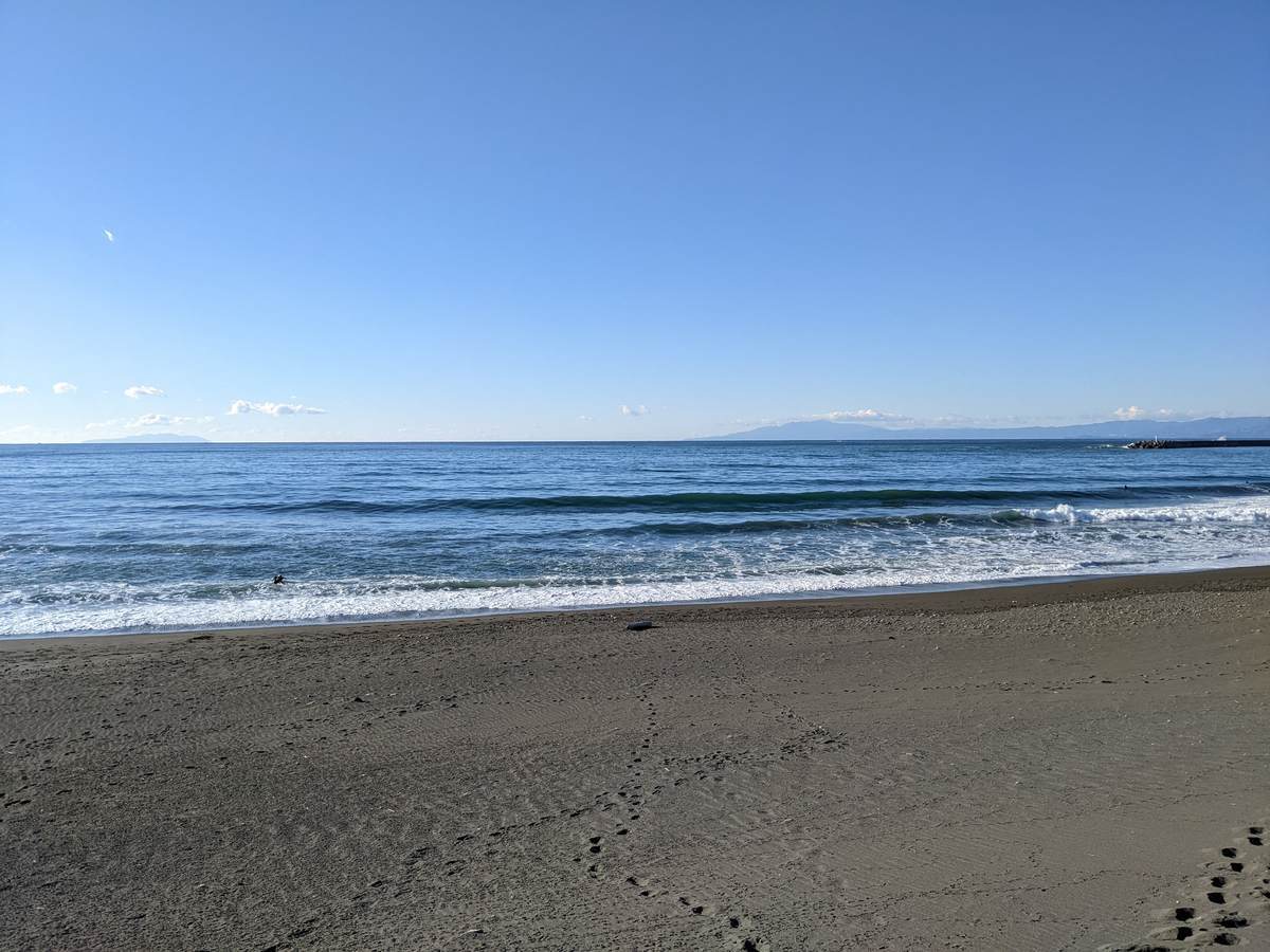 2022年1月14日午前9:03の茅ヶ崎白樺