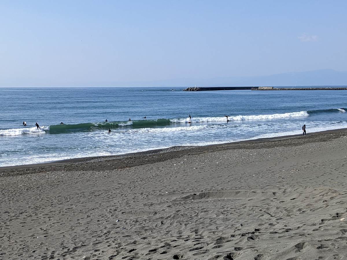 2022年3月6日午前9:34の茅ヶ崎白樺