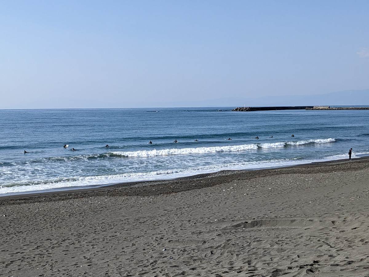 2022年3月6日午前9:34の茅ヶ崎白樺