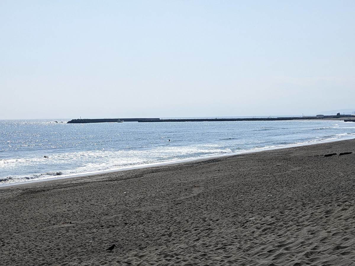 2022年4月8日昼14:11の茅ヶ崎白樺