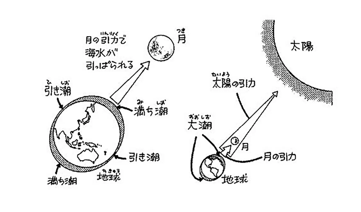潮の満ち引きを解説した図