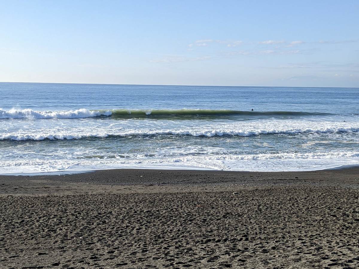2022年11月22日午前8:28の茅ヶ崎白樺